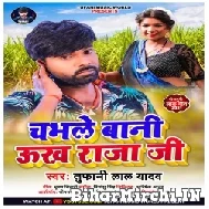 Chabhle Bani Ukha Raja Ji (Tufani Lal Yadav, Neha Raj) 2021 Mp3 Song