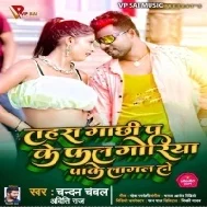 Tahara Gachhi Pa Ke Fal Goriya Pake Lagal Ho Mp3 Song