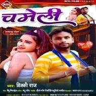 Dil Tham Ke Baitha Aawata Chameli Nache Mp3 Song