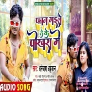 Aake Pakar Lele Pichhe Se Sakhi Faan Gaile Leke Pokharwa Me Mp3 Song