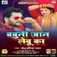 Babuni Jaanwa Lebu Ka Mp3 Song