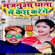 Majnuaa Thana Me Kesh Karenge Mp3 Song