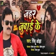 Ja Bewafa Tu Deke Gailu Gam Hum Judai Jahar Ke Kaise Piyab Mp3 Song