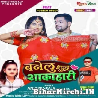 Ae Pyari Bana Jani Suddh Sakahari Mp3 Song