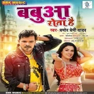 Babua Rota Hai (Pramod Premi Yadav) Dj Mp3 Song