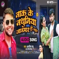 Naak Ke Nathuniya Tohar Jaanmaar Ho Gail Mp3 Song