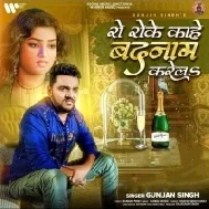 Ka Ro Roke Hamke Badnam Karela Mp3 Song