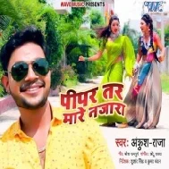 Saiya Hamara Awara Pipar Tar Mare Najara Mp3 Song