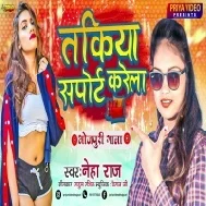 Jab Lagela Kamariya Me Chot Ta Takiya Support Dewele Mp3 Song