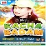 Humke Liya Da Raja Kacha Badam Mp3 Song