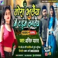 Tora Bhulai Me Ae Jaanu Time Lagtai Mp3 Song