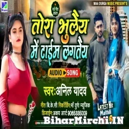 Tora Bhulai Me Time Lagtai (Anil Yadav) 2021 Mp3 Song