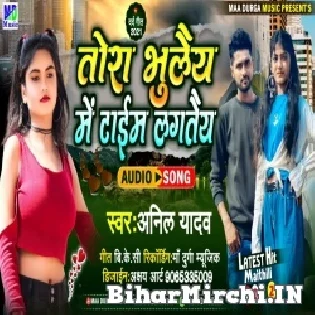 Tora Bhulai Me Ae Jaanu Time Lagtai Mp3 Song