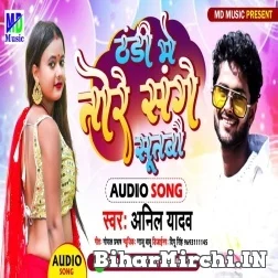 Thandi Me Tore Sange Sutbau (Anil Yadav) Mp3 Song