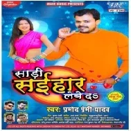 Pagla Jani Ae Piyau Hata Saari Saihar Lewe Da (Hit Matter) Mp3 Song