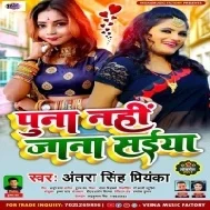 Puna Nhi Jaana Saiya Mp3 Song