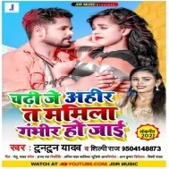 Stagewa Par Chadhi Je Ahir Ta Mamila Gambhir Ho Jai Mp3 Song