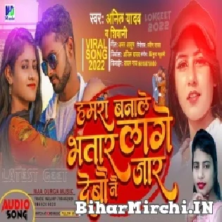 Hamra Banale Bhatar Lage Debau Nai Jar Ge Mp3 Song