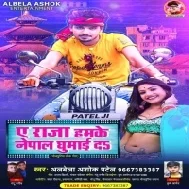 Ae Raja Humke Nepal Banai Da Mp3 Song