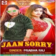 Ae Jaan I Am Sorry Bitat January Chhodi Ke Sasural Chal Jaib