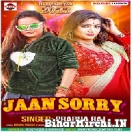 Jaan Sorry (Prabha Raj) 2022 Mp3 Song