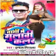 Nabhi Me Gulabi Colour (Indal Nirala) 2022 Mp3 Song