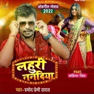 Dekhi Dekhi Kamar Ke Daradiya Tana Mare Lahuri Nanadiya Mp3 Song