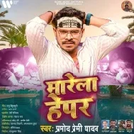 Roje Anhar Ka Ke Marela Bhepar Hepar Mp3 Song