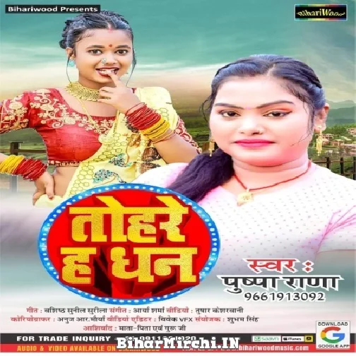 Tohare Ha Dhan (Pushpa Rana) 2022 Mp3 Song