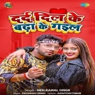 Bahut Kharcha Kara Ke Gail Hamke Lagal Ki Like Karat Biya Yaar Mp3 Song