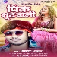 Ae Pink Shut Wali Tohara Ke Na Dekhi Ta Mile Na Aram Mp3 Song