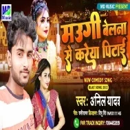 Maugi Belana Se Kareya Pitai Mp3 Song