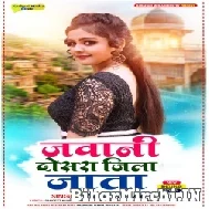 Jawani Dosara Jila Jata (Baby Kajal) Album Mp3 Songs