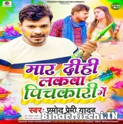 Maar Dihi Lakwa Pichkari Me (Pramod Premi Yadav) 2022 Mp3 Song