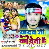 Yadav Jee Ko Deti Hai (Bullet Raja) Mp3 Song 2022