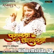 Pagalwa Ke Chhagalawa (Amrita Dixit) 2022 Mp3 Song