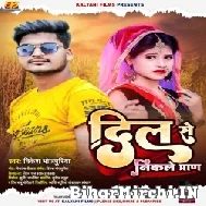 Dil Se Nikle Paran (Vikesh Bhojpuriya) Mp3 Song