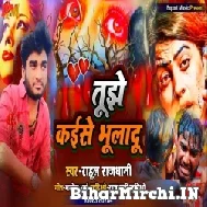 Tujhe Kaise Bhuladu (Rahul Rajdhani) 2022 Mp3 Song