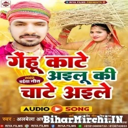 Gehu Kate Ailu Ki Chate Aile (Albela Ashok) 2022 Mp3 Song