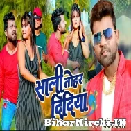 Sali Tohar Didiya (Chandan Chanchal) 2022 Mp3 Song