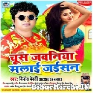 Chusa Jawani Malai Jaisan (Vinod Bedardi) 2022 Mp3 Song