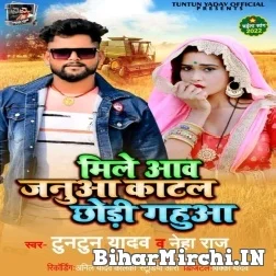 Mile Aaw Januaa Katal Chhodi Gehua (Tuntun Yadav, Neha Raj) 2022 Mp3 Song