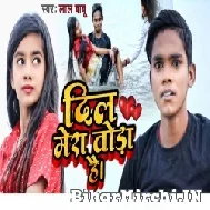 Dil Mera Toda Hai (Lal Babu) 2022 Mp3 Song