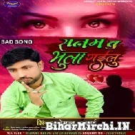 Sanam Tu Bhula Gailu (Hemant Harjai) 2022 Mp3 Song