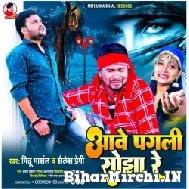 Aawe Pagli Sojha Re (Mithu Marshal, Shailesh Premi) 2022 Mp3 Songs