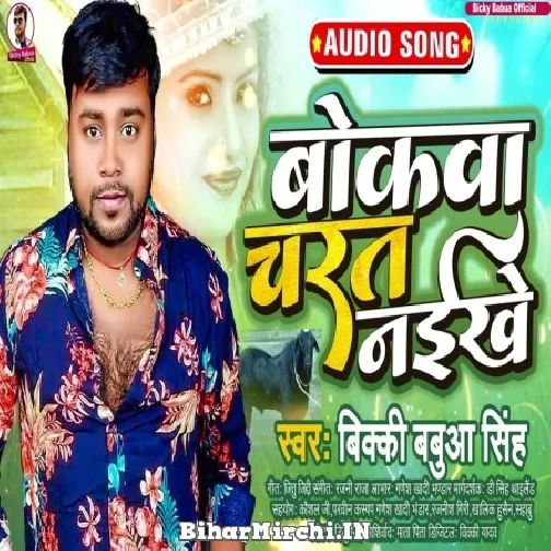 Bokawa Charat Naikhe (Bicky Babua) 2022 Mp3 Song