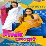 Mere Piya Ko Bada Man Bhaye Hay Re Mera Pink Plazzo