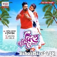 Dil Chir Ke Dekh (Nagendra Ujala, Punita Priya) 2022 Mp3 Song