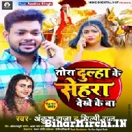 Tora Dulha Ke Sehra Dekhe Ke Ba (Ankush Raja, Shilpi Raj) 2022 Mp3 Song