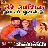 Tere Aashiq Hum To Purane Hai (Nagendra Ujala, Shilpi Raj) 2022 Mp3 Song